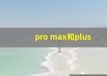 pro max和plus